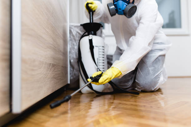 Best Exterminator Services  in Alanuk, AK