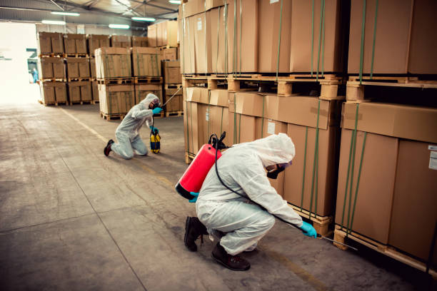 Best Local Pest Control Services  in Alanuk, AK