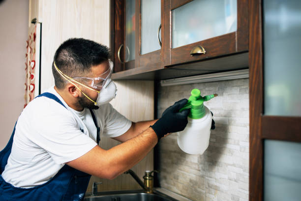 Best Commercial Pest Control Services  in Alanuk, AK