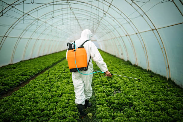 Best Best Pest Control Companies  in Alanuk, AK