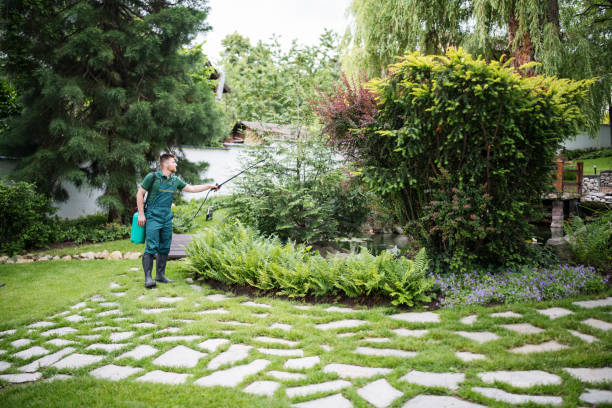 Best Mosquito Control Services  in Alanuk, AK
