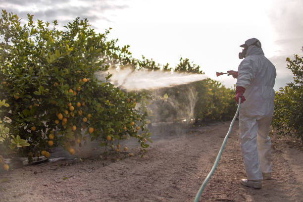 Professional Pest Control in Alakanuk, AK