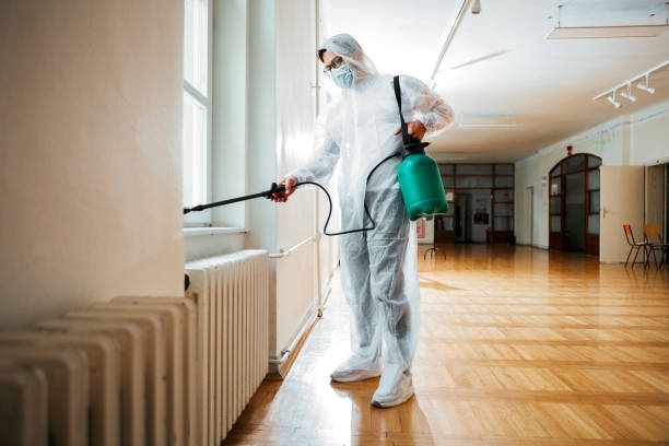 Best Bed Bug Extermination  in Alanuk, AK
