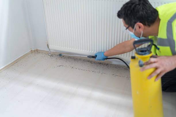 Best Pest Removal Services  in Alanuk, AK