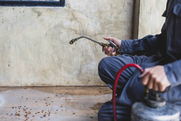 Best Pest Control for Homes  in Alanuk, AK